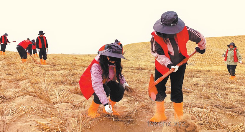 停更一月，我在甘肃民勤改造治沙人住所：打造防风保暖新居指南